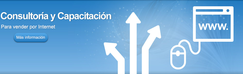 Consultoria SEO y en Comercio Electronico en Guadalajara
